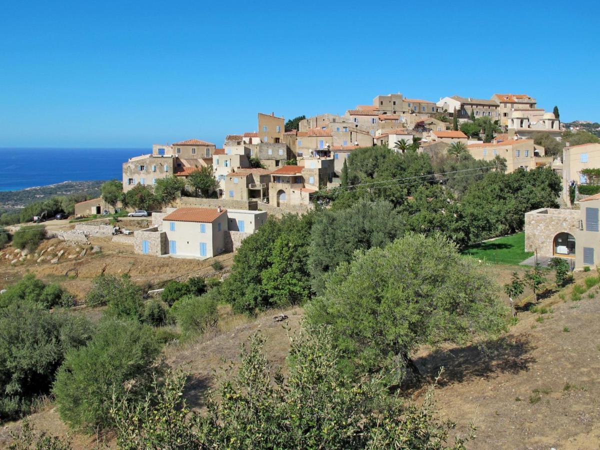 Apartment Residence De La Plage - Iru151 By Interhome LʼÎle-Rousse Eksteriør billede